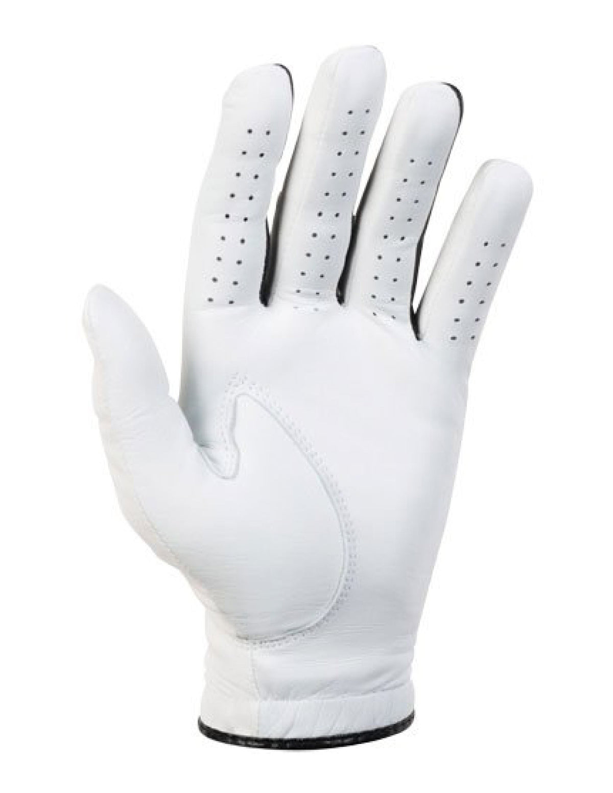 Eagle Glove